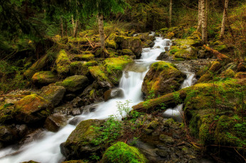 Картинка природа реки озера камни лес речка водопад