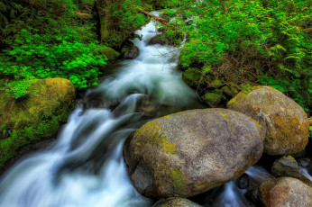 Картинка природа реки озера речка лес камни водопад