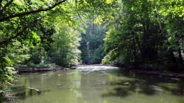 Картинка природа реки озера лето река деревья