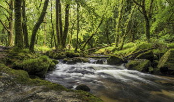 Картинка природа реки озера лес речка водопад камни