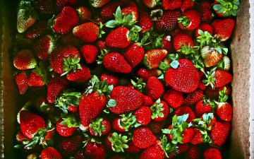 Картинка еда клубника +земляника много ягоды спелая