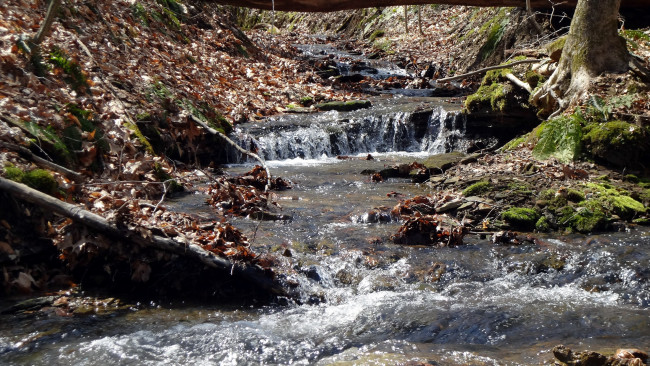 Обои картинки фото природа, реки, озера, листья, осень, вода, река, поток