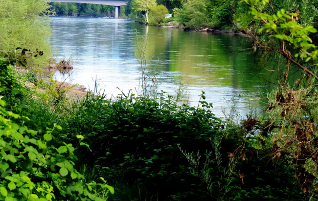 Обои картинки фото природа, реки, озера, зелень, лето, река, вода