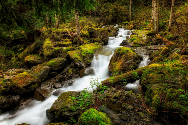Обои картинки фото природа, реки, озера, камни, лес, речка, водопад