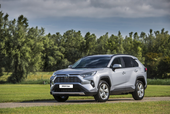 Обои картинки фото автомобили, toyota, rav4 van, 2019