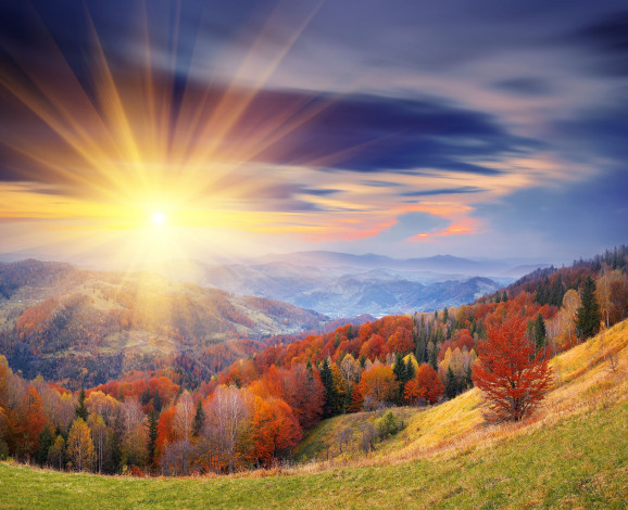 Обои картинки фото природа, восходы, закаты, осень, восход, лес, пейзаж, деревья, горы
