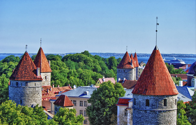 Обои картинки фото города, таллин, эстония, панорама, дома, крыши