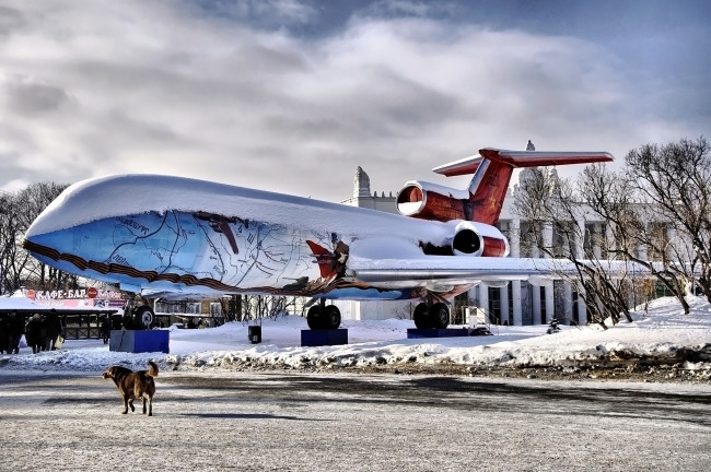 Обои картинки фото авиация, памятник, самолёту, собака, люди, снег, зима
