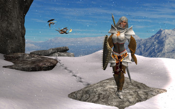Картинка 3д+графика амазонки+ amazon девушка взгляд доспехи драконы снег