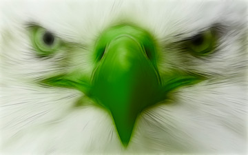 Картинка 3д+графика животные+ animals глаза клюв орел