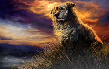 Картинка рисованные животные +собаки облака трава закат собака wolfroad