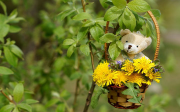 Картинка разное игрушки медвежонок корзинка листья куст одуванчики