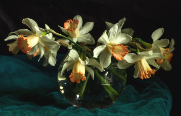 Картинка цветы нарциссы ваза ткань картина
