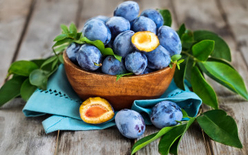 Картинка еда персики +сливы +абрикосы плоды сливы синий фрукты