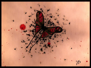 Картинка рисованные животные бабочки