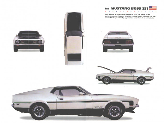 Обои картинки фото ford, mustang, boss, 351, автомобили