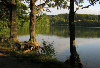 обоя озеро, marchowo, польша, природа, реки, озера, берег, деревья