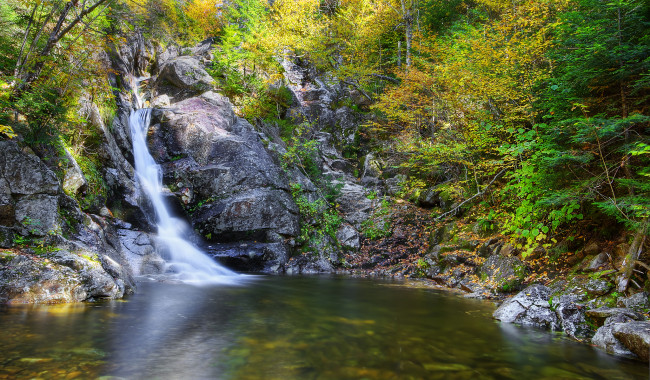 Обои картинки фото природа, водопады, лес, река, водопад