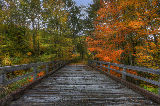 Обои картинки фото природа, дороги, лес, осень, мостик