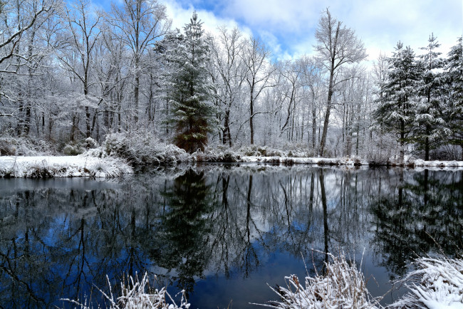 Обои картинки фото природа, зима, отражение, деревья, облака, озеро