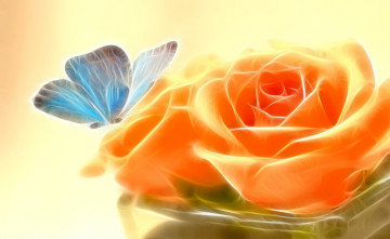 обоя 3д графика, цветы , flowers, роза, бабочка