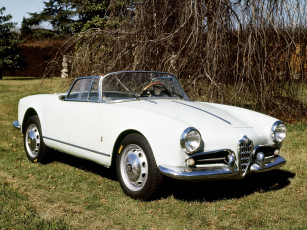 обоя alfa romeo giulietta spider concept 1955, автомобили, alfa romeo, 1955, concept, spider, alfa, romeo, giulietta