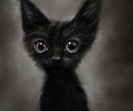 Картинка рисованное животные +коты котенок рисунок смешной