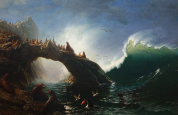Картинка рисованное живопись тюлени остров фараллон картина альберт бирштадт морской пейзаж