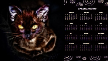 Картинка календари компьютерный+дизайн кот взгляд кошка