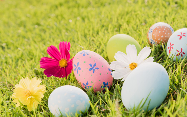 Обои картинки фото праздничные, пасха, pastel, colors, decoration, easter, flowers, spring, яйца, цветы, трава, eggs