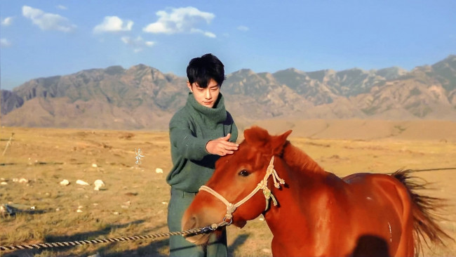 Обои картинки фото мужчины, xiao zhan, свитер, степь, лошадь, горы