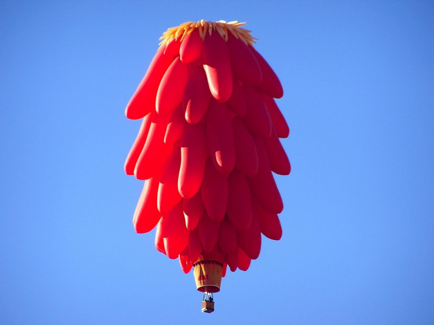 Обои картинки фото chili, ristra, авиация, воздушные, шары