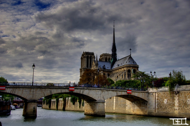 Обои картинки фото города, париж, франция, собор
