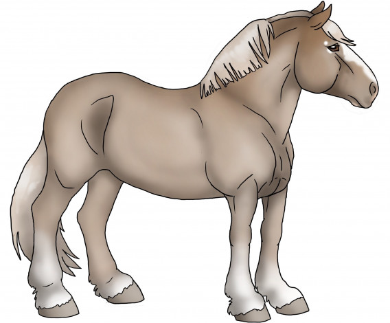 Обои картинки фото рисованное, животные,  лошади, лошадь, фон, взгляд, грива
