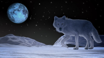 Картинка 3д+графика животные+ animals луна волк