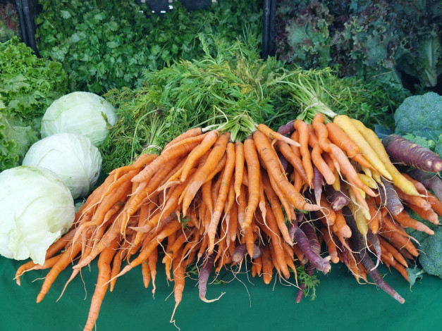 Обои картинки фото еда, овощи, морковь, капуста, петрушка