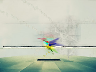 Картинка рисованные животные птицы колибри