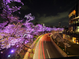 Картинка токио города Япония