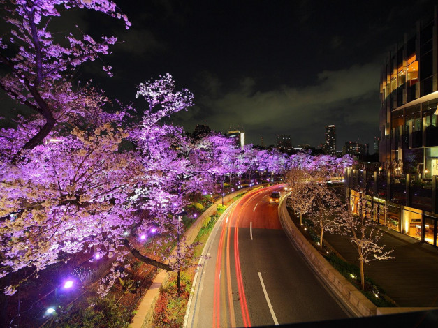 Обои картинки фото токио, города, Япония