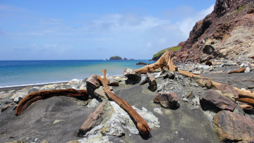 Картинка природа побережье камни коряги