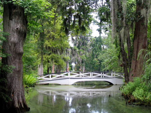 Обои картинки фото magnolia, garden, charleston, природа, парк, мост, деревья, водоем