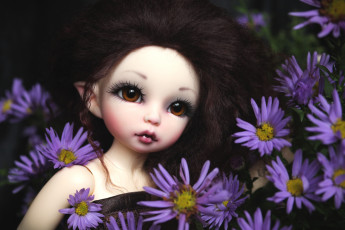 Картинка разное игрушки кукла эльф цветы