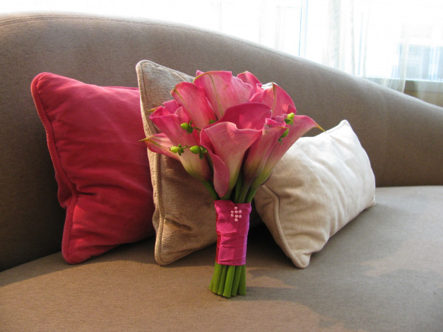Обои картинки фото цветы, каллы, калы, ваза, диван