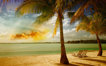 Картинка природа тропики песок beach tropical пальмы море пляж берег summer sea palm