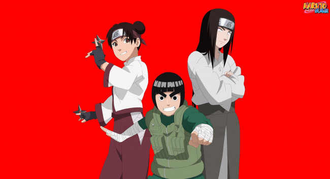 Обои картинки фото аниме, naruto, lee, nejy