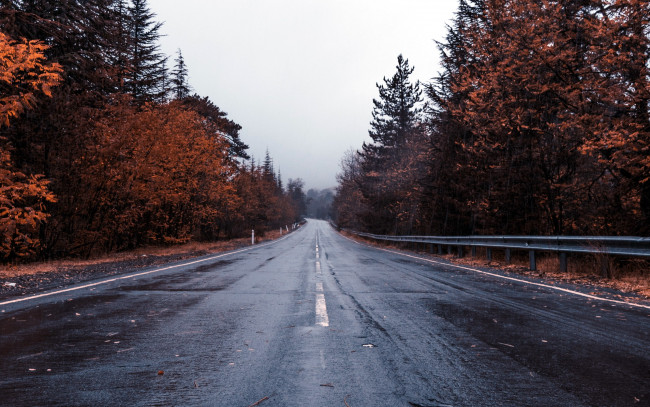Обои картинки фото природа, дороги, осень, шоссе