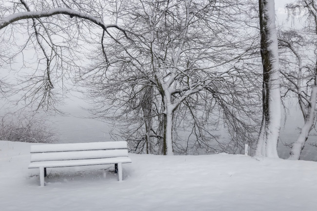 Обои картинки фото природа, парк, скамья, снег, зима