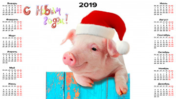 Картинка календари праздники +салюты свинья шапка поросенок