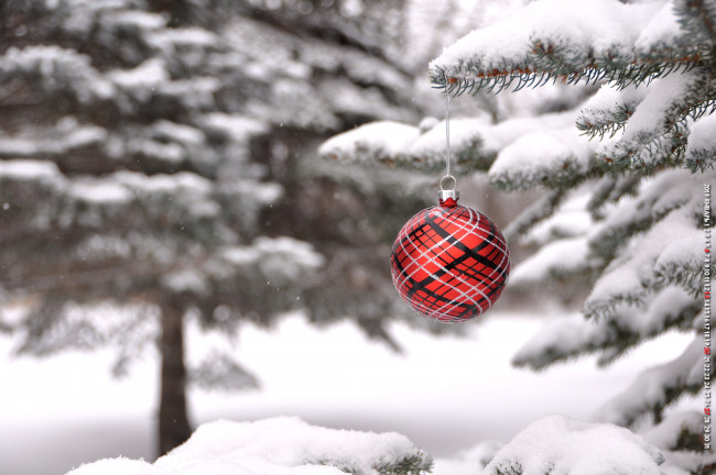 Обои картинки фото календари, праздники,  салюты, елка, шар, зима, игрушка, снег