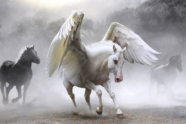 Обои картинки фото фэнтези, пегасы, крылья, фон, конь